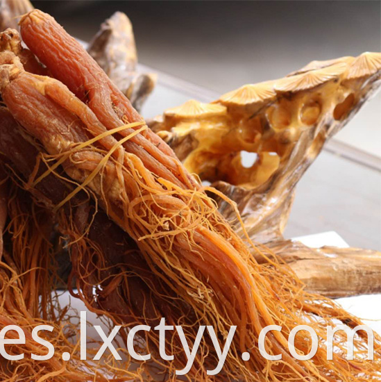 red ginseng extract tea